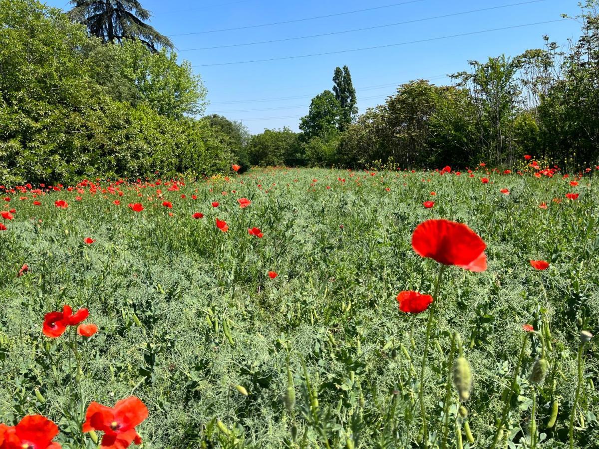 Acero Giallo Парма Екстер'єр фото
