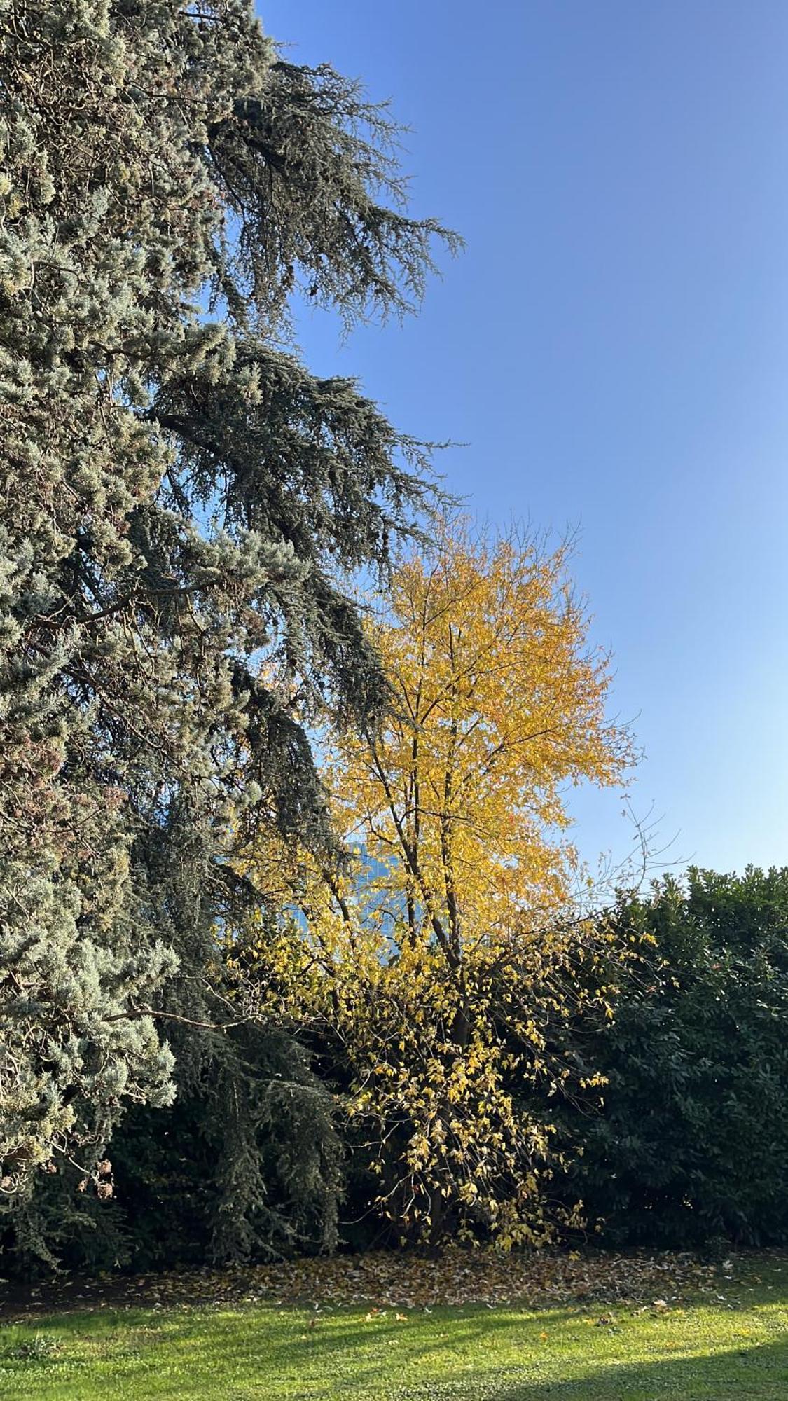 Acero Giallo Парма Екстер'єр фото